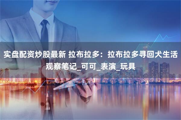 实盘配资炒股最新 拉布拉多：拉布拉多寻回犬生活观察笔记_可可_表演_玩具