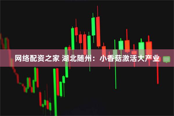 网络配资之家 湖北随州：小香菇激活大产业